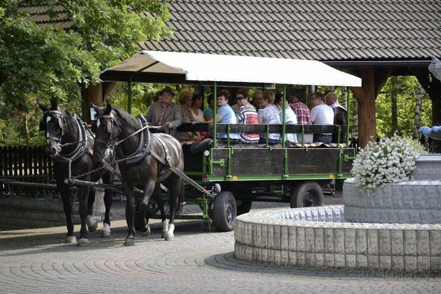 Отель Park Lesny 'U Kaczyny' Rogow Экстерьер фото