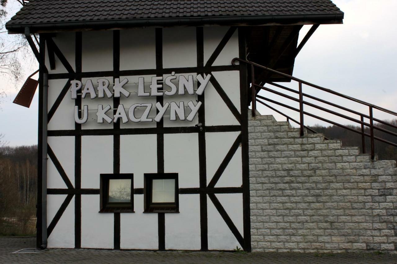 Отель Park Lesny 'U Kaczyny' Rogow Экстерьер фото