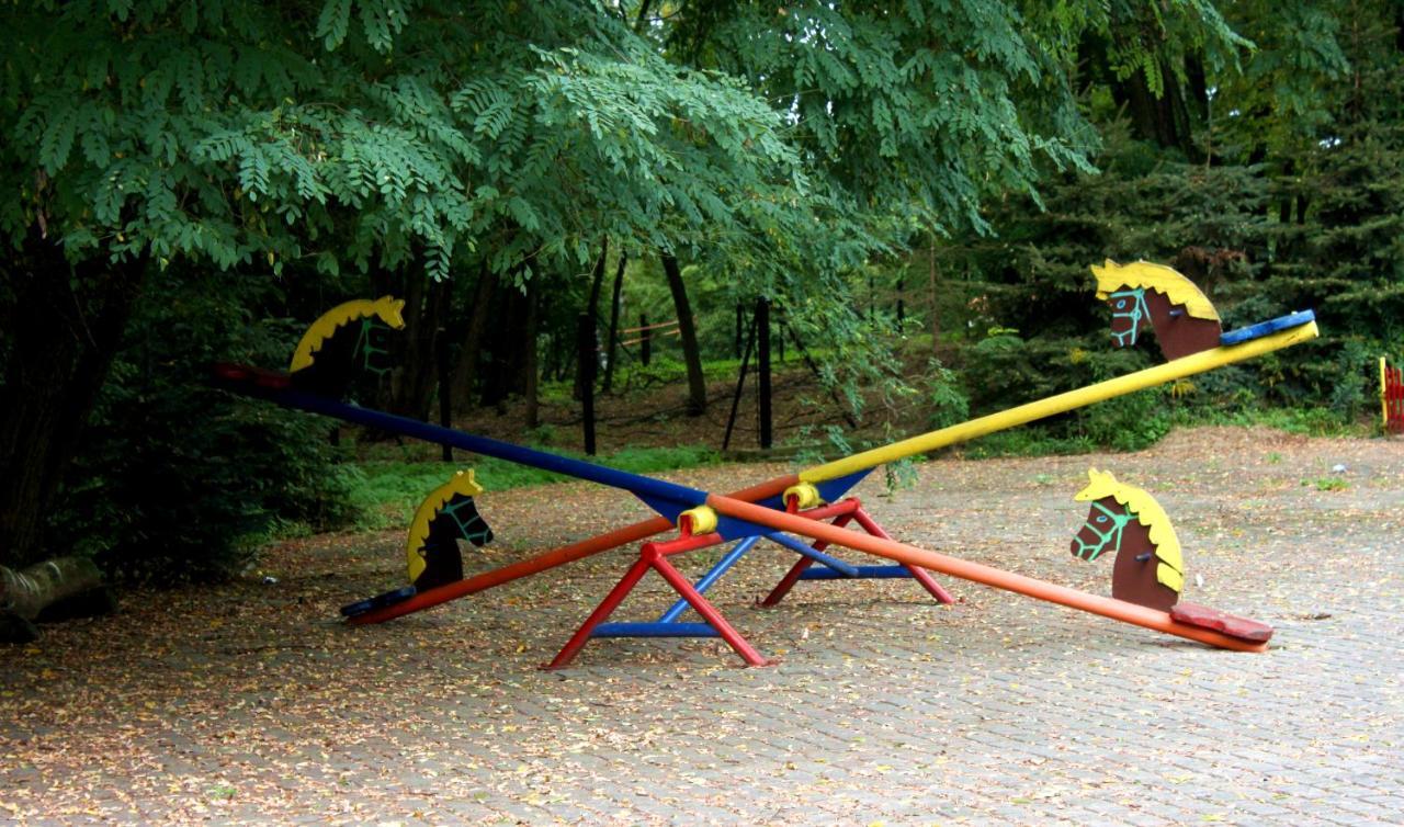 Отель Park Lesny 'U Kaczyny' Rogow Экстерьер фото